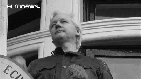 Fist Assange GIF by Euronews