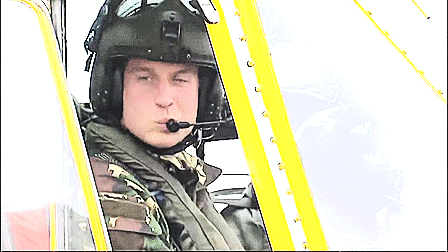 Top 30 Prince William GIFs | Find the best GIF on Gfycat