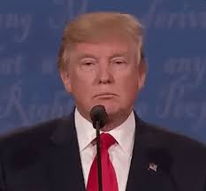 Donald Trump GIFs - Get the best GIF on GIPHY